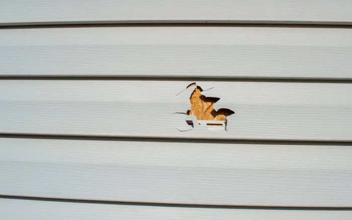 Do It Yourself Vinyl Siding How To Repair Holes In Vinyl Siding The
